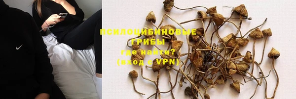 соль ск Волосово