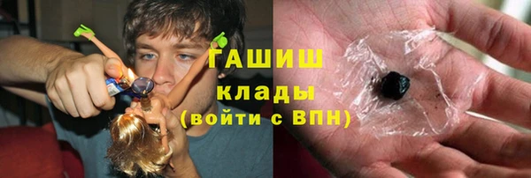 гидра Володарск