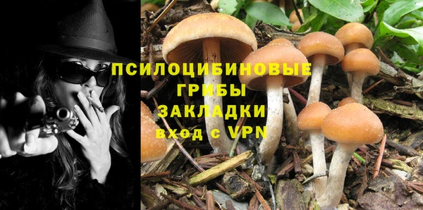 гидра Володарск