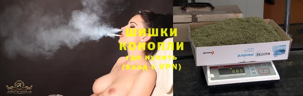 гидра Володарск