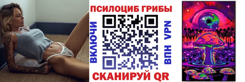 наркотики  гидра онион  Псилоцибиновые грибы мухоморы  Певек 