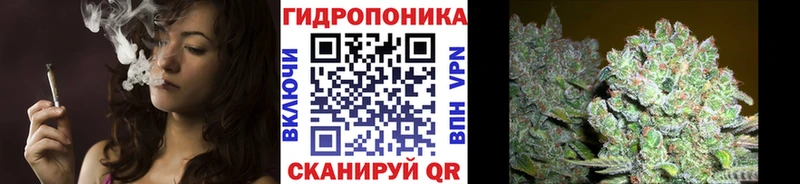 МАРИХУАНА MAZAR  продажа наркотиков  Певек 